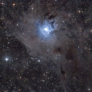 Iris Nebel / NGC7023