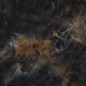 The Fighting Dragons in Cepheus