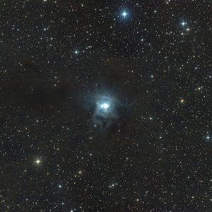 NGC 7023 - Irisnebel