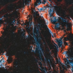 The Cygnus Loop