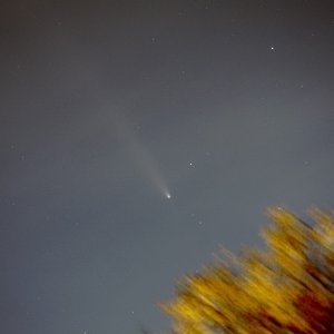 Komet Tsuchinshan-Atlas mit Schleierwolken