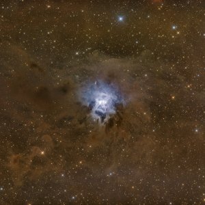 NGC7023_Epsi160_06082024.jpg