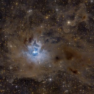 NGC7023 oder warum liegt hier so viel Staub rum