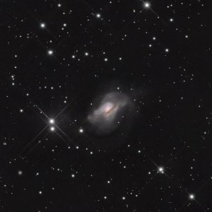 NGC 828.jpg