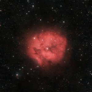 IC 5146 - Kokon Nebel