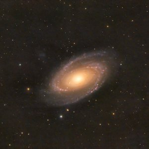 M81 aus dem Frühjahr