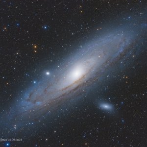 M31