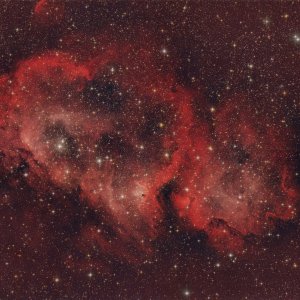 IC1848_Quattro150P_NBRGB.jpg