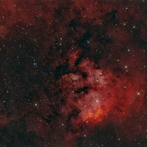 NGC7822_RGB_SHO_sm.jpg