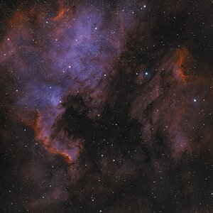 NGC7000_RC51_ASI5333MC_DUO_139x120_00s.jpg