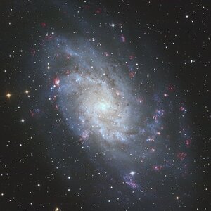 M33 Anfang Oktober