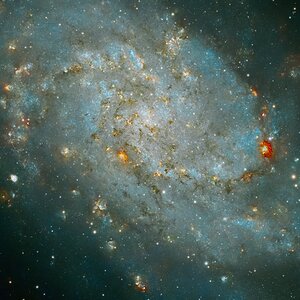 The Core of M33