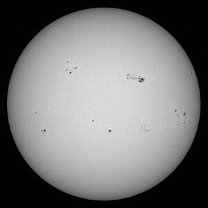 Sonne im Wl am 28.12.2024