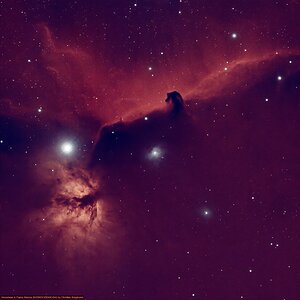 Horsehead & Flame Nebula