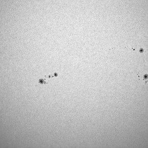 SUN_MVI_9811_b.jpg