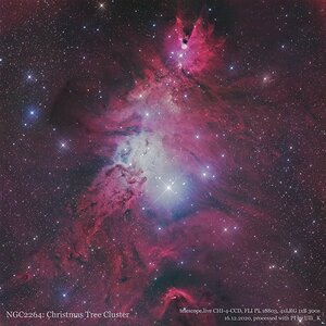 2020-12-16 NGC2264 CHI-4-CCD telescope.live.jpeg