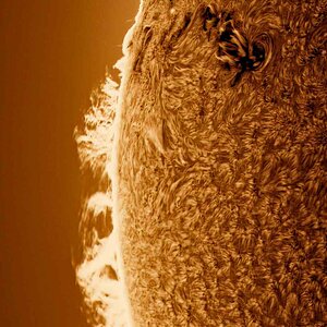 Sonne
