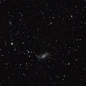 NGC2146-SN2024abfl-markiert-NGC2146A.jpg