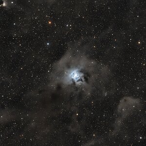 NGC7023 - Irisnebel