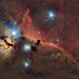 IC434 Pferdekopfnebel & Flammennebel NGC 2024