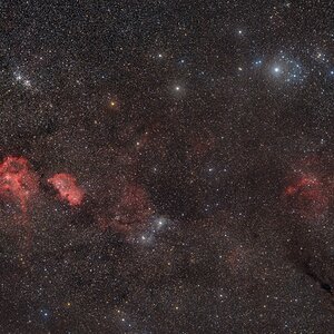 Perseus bis Giraffe