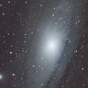 M31