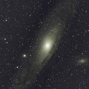 M 31