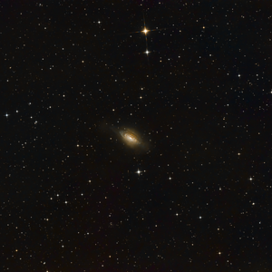 NGC 3521 Blasen Galaxie  Crop