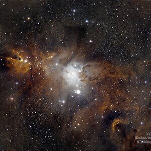 NGC 2264 Weihnachtsbaum-Cluster