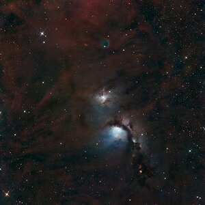 Messier 78 & NGC 2071 crop