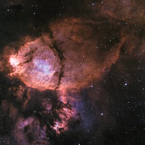 IC 1795 - Fischkopfnebel