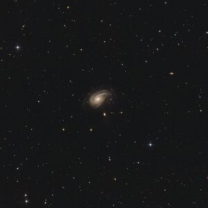 Glx_NGC772_final.jpg