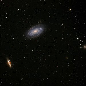 M81.Bode.