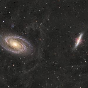 Medium 'M81 und M82 mit IFN' in Kategorie 'Galaxie'