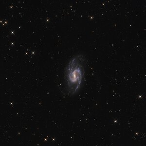 NGC 3359