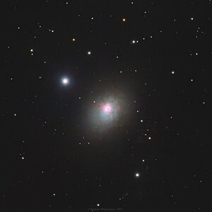 NGC3077