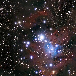 NGC 2264