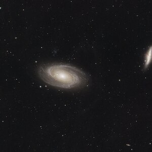 Messier 81 + Messier 82