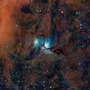 M 78 bzw. NGC 2068