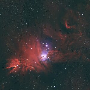 NGC2264.jpg