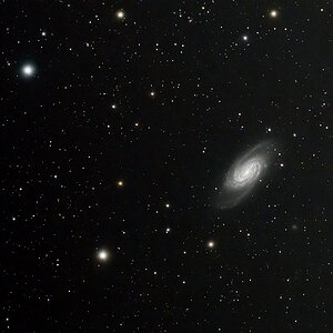 NGC2903 zweiter Vesuch mit 3 Std Bel