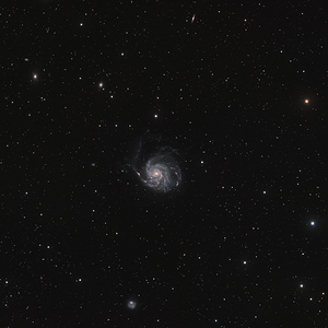 M 101