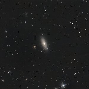 Tigeraugengalaxie NGC 2841