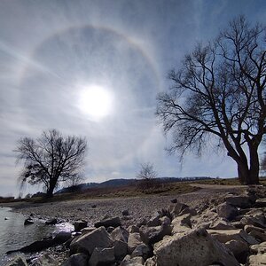 Sonnenhalo am Rhein bei Bonn