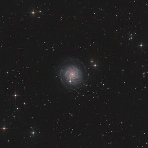 NGC 3344 - Sliced Onion Galaxy