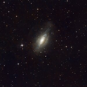 ngc3521 Blasen Galaxie Crop