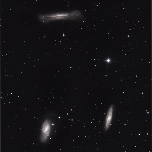 Leo Triplett