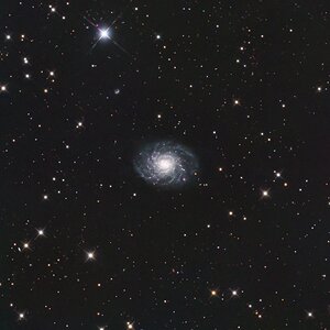 NGC 3486 - eine Balkenspiralgalxie im kleinen Löwen mit 6" RC in rgbHa