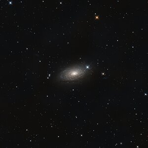 M63 - Die Sonnenblumen-Galaxie in Lrgb