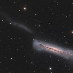 Medium 'Hamburger-Galaxie mit Schweif' in Kategorie 'Galaxie'